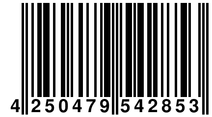 4 250479 542853