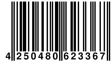 4 250480 623367