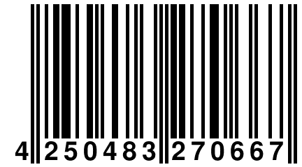 4 250483 270667