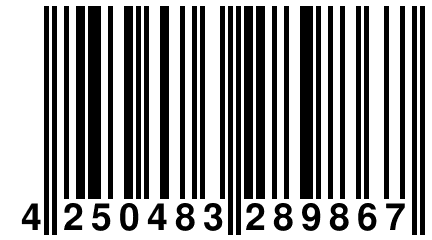 4 250483 289867