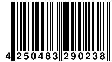 4 250483 290238