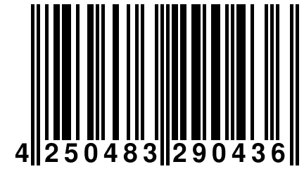 4 250483 290436