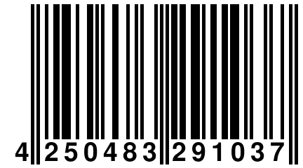 4 250483 291037