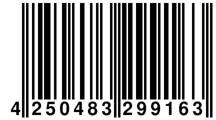 4 250483 299163