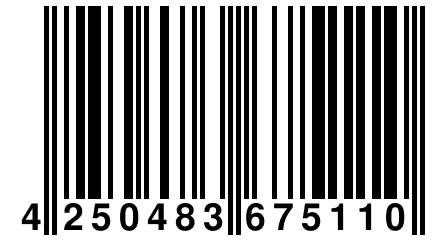 4 250483 675110