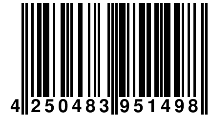 4 250483 951498