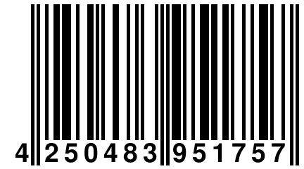 4 250483 951757