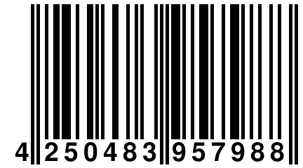 4 250483 957988