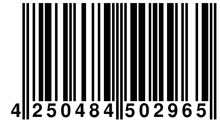 4 250484 502965