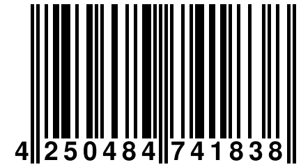 4 250484 741838