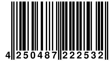 4 250487 222532