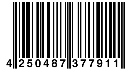 4 250487 377911