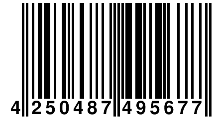 4 250487 495677