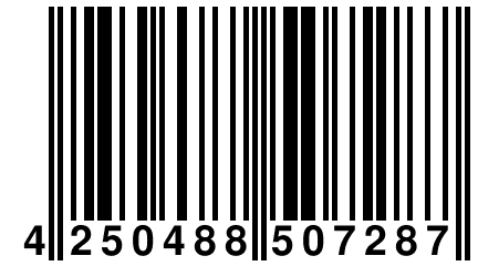 4 250488 507287