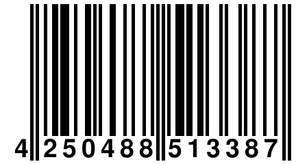 4 250488 513387