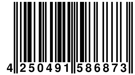 4 250491 586873