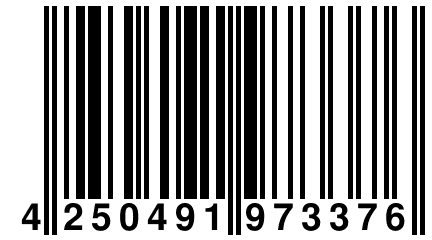 4 250491 973376