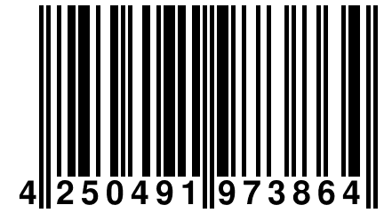 4 250491 973864