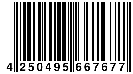 4 250495 667677