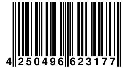 4 250496 623177