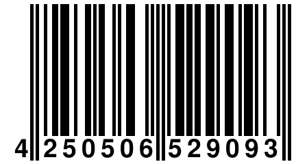 4 250506 529093