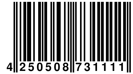 4 250508 731111