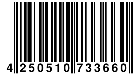 4 250510 733660