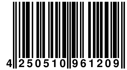 4 250510 961209