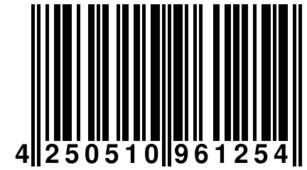 4 250510 961254