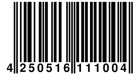 4 250516 111004