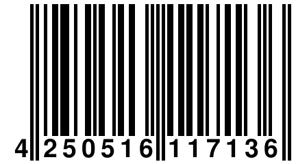 4 250516 117136