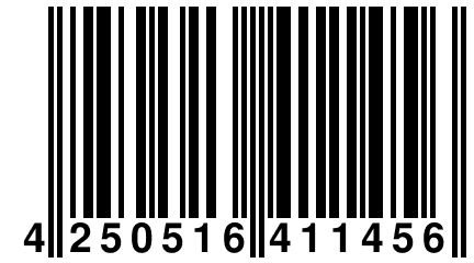 4 250516 411456