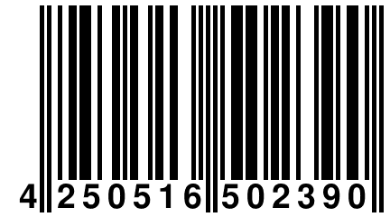 4 250516 502390