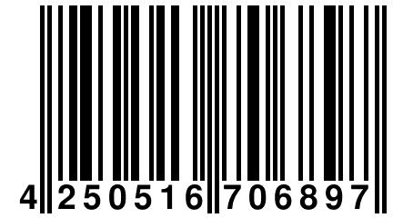 4 250516 706897