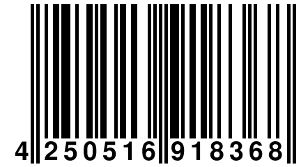 4 250516 918368