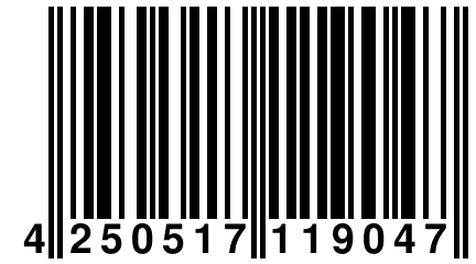 4 250517 119047