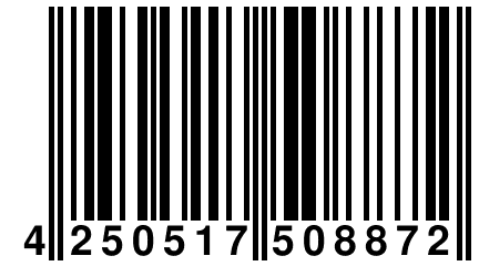 4 250517 508872