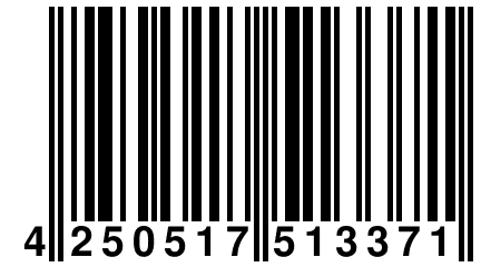 4 250517 513371