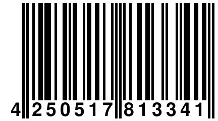 4 250517 813341