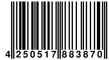 4 250517 883870