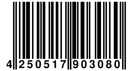 4 250517 903080