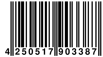 4 250517 903387