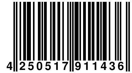 4 250517 911436