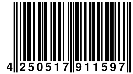 4 250517 911597