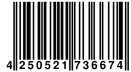 4 250521 736674