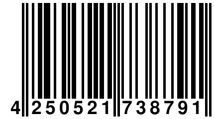 4 250521 738791