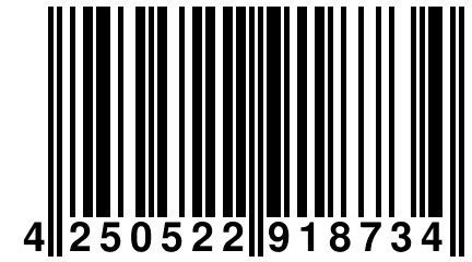 4 250522 918734