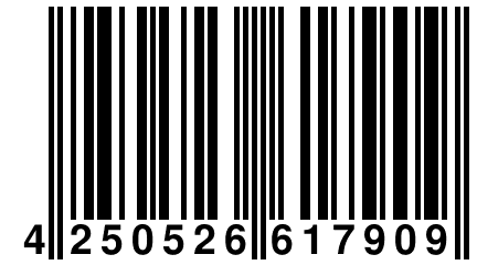 4 250526 617909