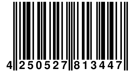 4 250527 813447