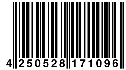 4 250528 171096